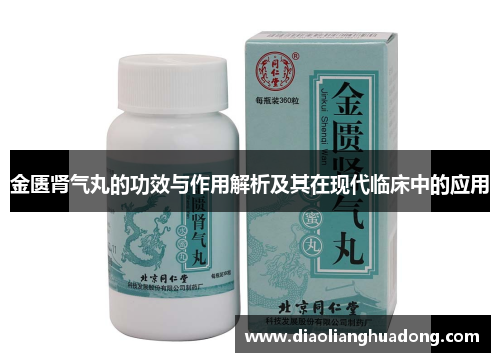 金匮肾气丸的功效与作用解析及其在现代临床中的应用